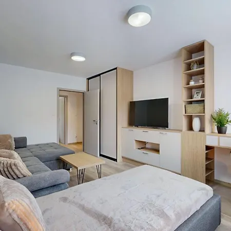 Flexihome Sk - Tolsteho 1 - And Renovated Košice