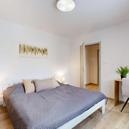 Flexihome Sk - Tolsteho 1 - And Renovated Appartement