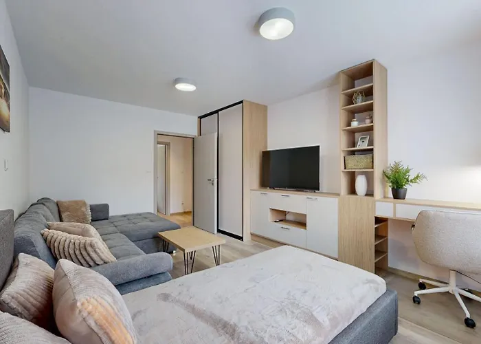 Flexihome Sk - Tolsteho 1 - And Renovated Kosice