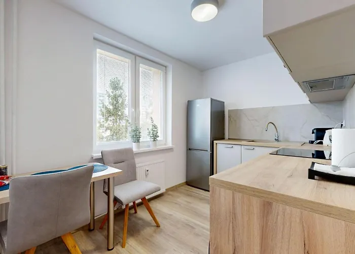 Apartamento Flexihome Sk - Tolsteho 1 - And Renovated