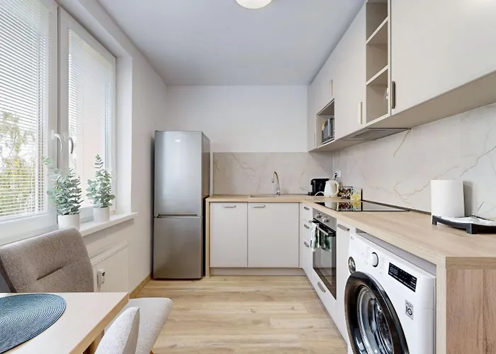 Apartment Flexihome Sk - Tolsteho 1 - And Renovated Kosice